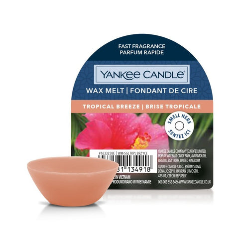 Raumdüfte von Yankee Candle jetzt online kaufen | AlletDufte.de